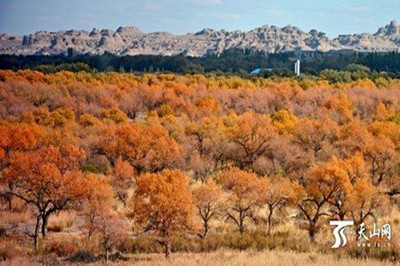 【南北疆】 新疆天山天池、火洲吐魯番、人間凈土喀納斯雙飛8日游