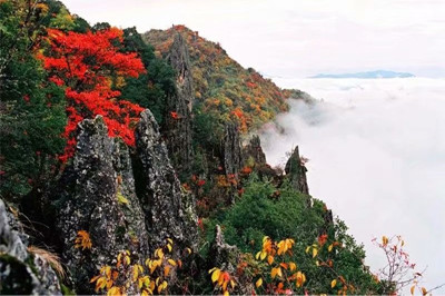 【安康】南宮山+香溪洞、安康博物館兩日游